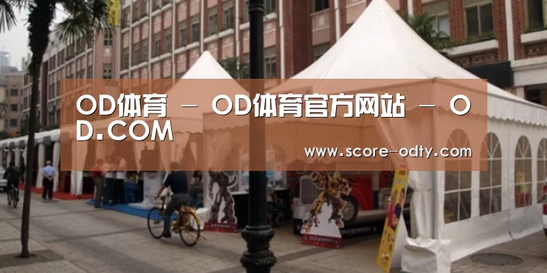 案例标题九