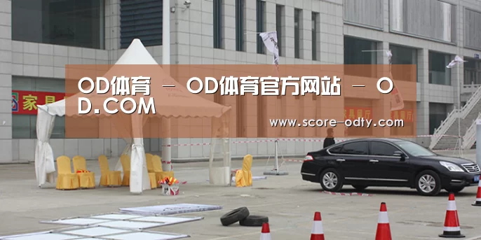 案例标题六