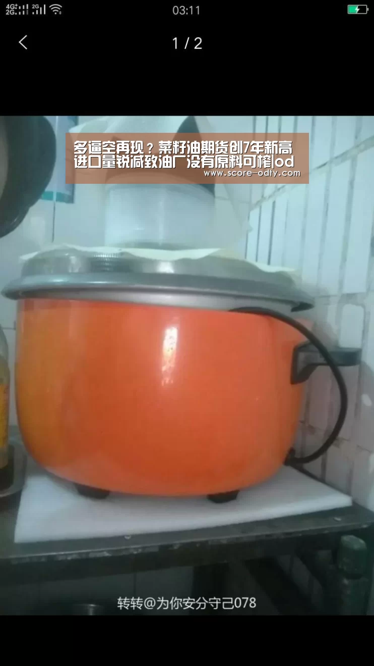 多逼空再现?菜籽油期货创7年新高 进口量锐减致油厂没有原料可榨|od体育官方网站(图2) od体育网站