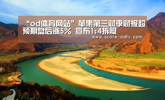 “od体育网站”苹果第三财季财报超预期盘后涨5% 宣布1:4拆股(图3) od体育网站