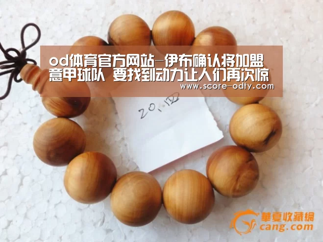od体育官方网站-伊布确认将加盟意甲球队 要找到动力让人们再次惊讶(图3) od体育网站