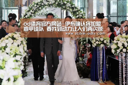 od体育官方网站-伊布确认将加盟意甲球队 要找到动力让人们再次惊讶(图4) od体育网站